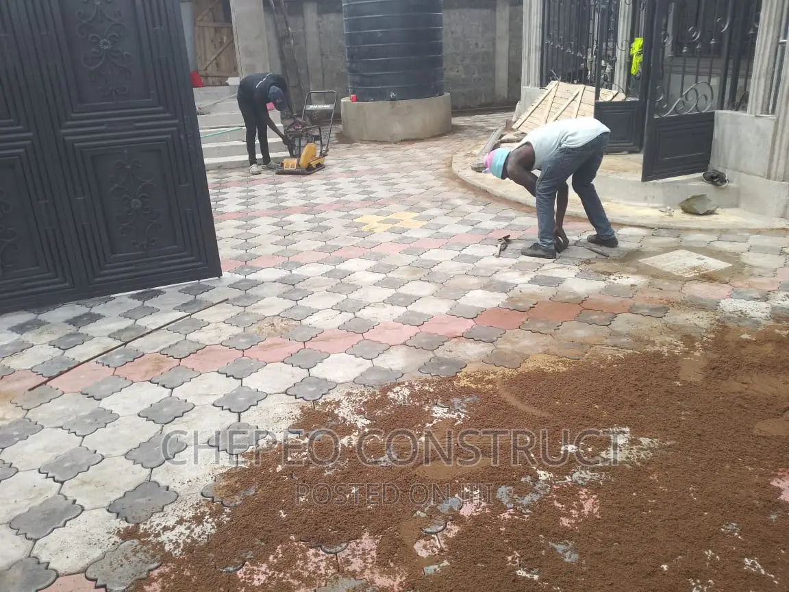 Splendor 3D Coloured Paving Blocks/ Cabros