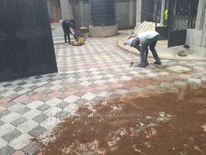 Splendor 3D Coloured Paving Blocks/ Cabros
