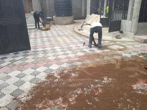 Splendor 3D Coloured Paving Blocks/ Cabros