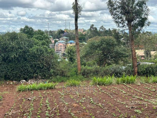 Ngong 1/2acre Redsoil - thumbnail 5