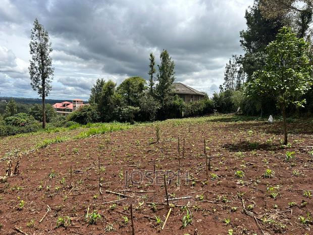Ngong 1/2acre Redsoil - thumbnail 6
