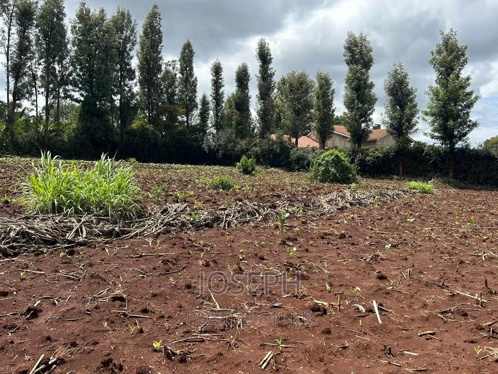 Ngong 1/2acre Redsoil