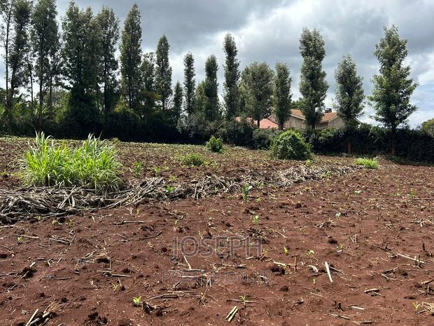 Ngong 1/2acre Redsoil - thumbnail 7
