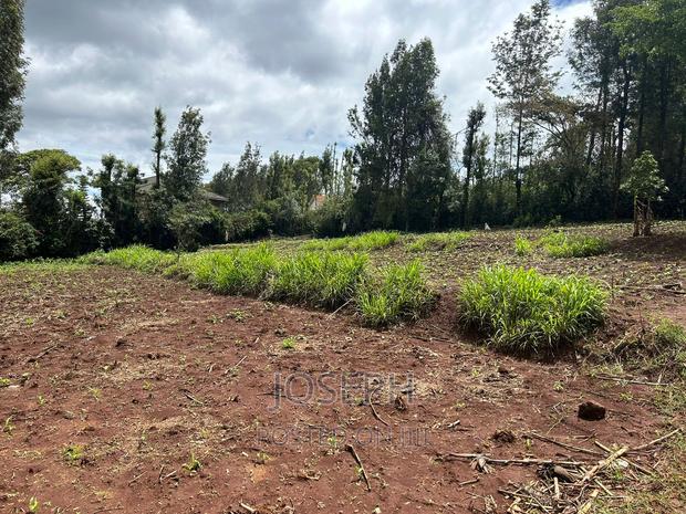 Ngong 1/2acre Redsoil - thumbnail 8