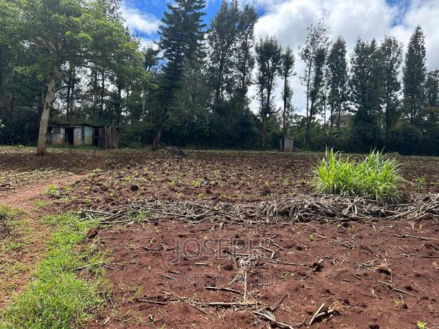 Ngong 1/2acre Redsoil - thumbnail 9