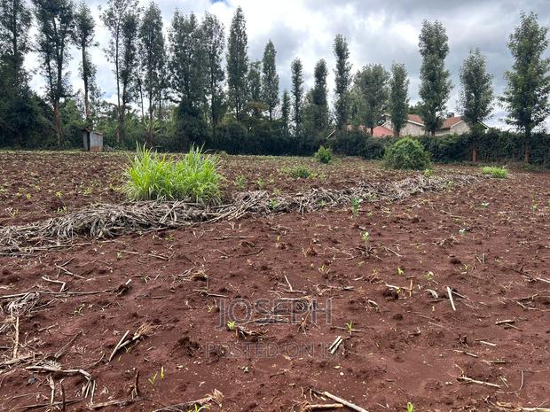 Ngong 1/2acre Redsoil - thumbnail 3