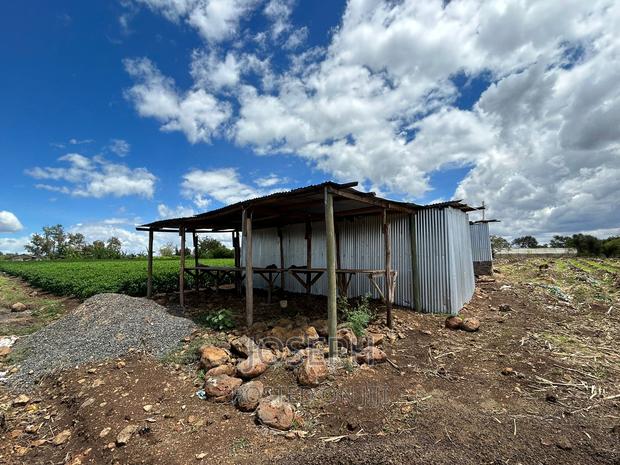 Sagana 7acres River Frontage Farm - thumbnail 7