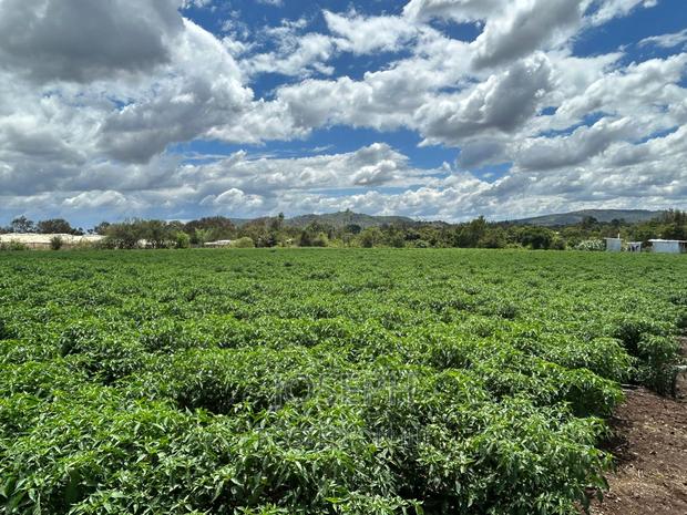 Sagana 7acres River Frontage Farm