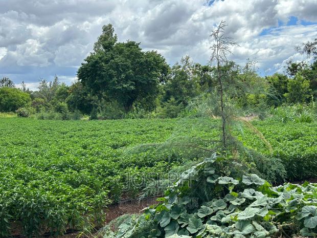 Sagana 7acres River Frontage Farm - thumbnail 3