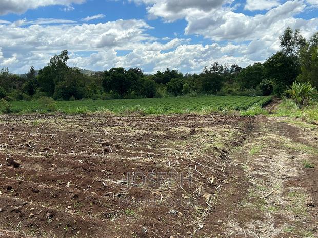 Sagana 7acres River Frontage Farm - thumbnail 8
