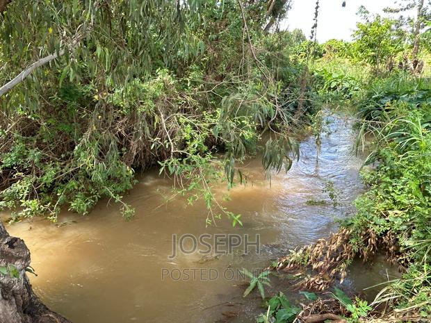 Sagana 7acres River Frontage Farm - thumbnail 11