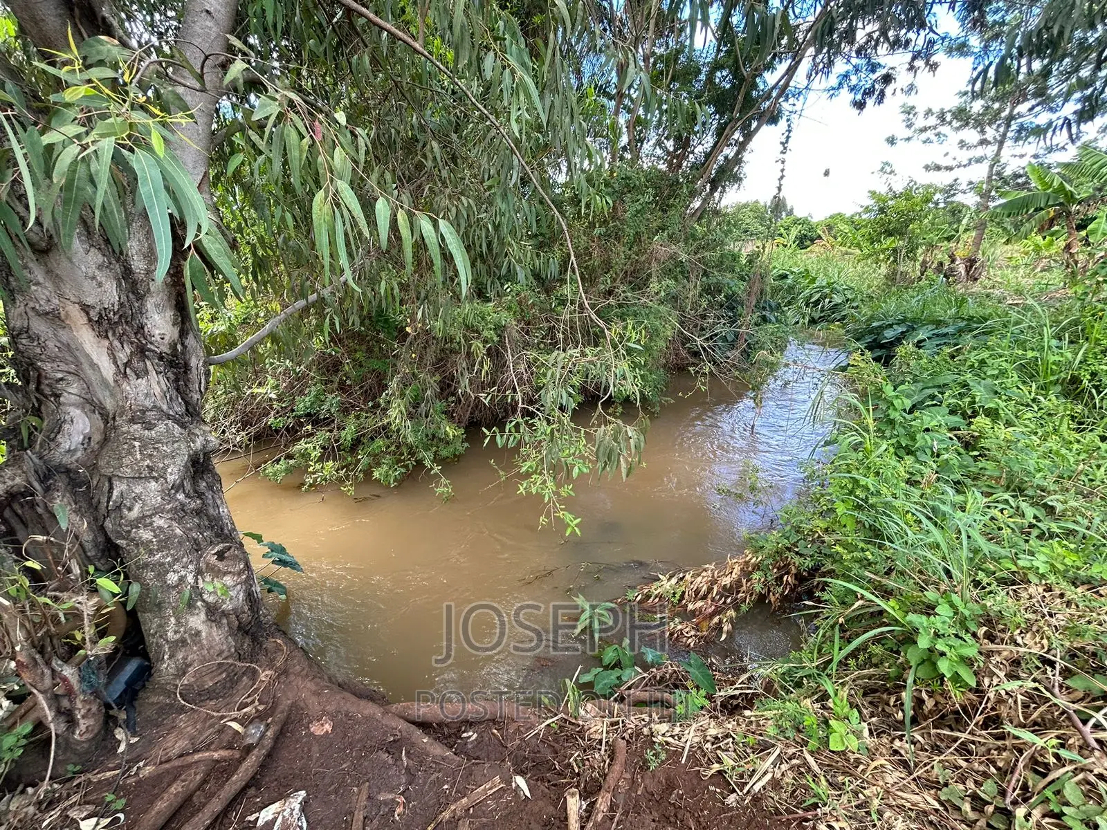 Sagana 7acres River Frontage Farm
