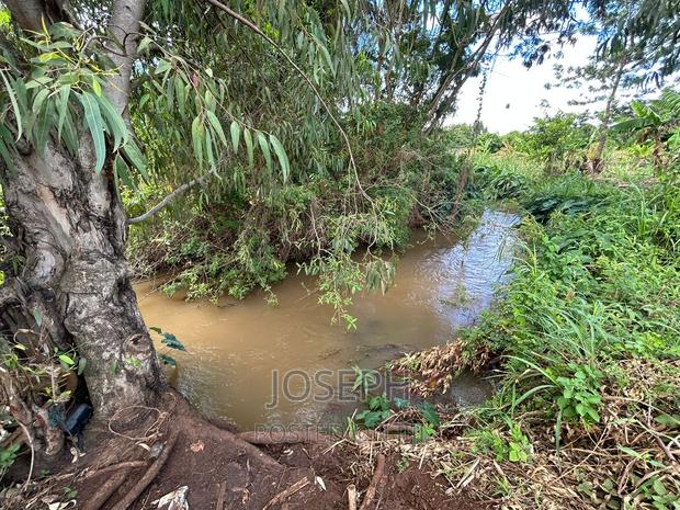 Sagana 7acres River Frontage Farm - thumbnail 4