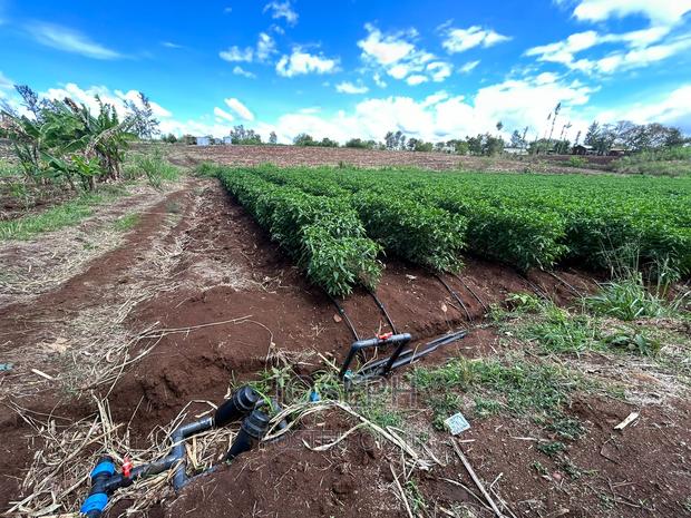 Sagana 7acres River Frontage Farm - thumbnail 12