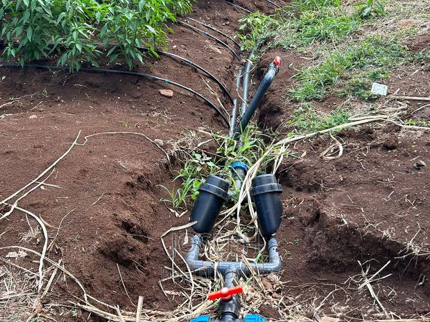 Sagana 7acres River Frontage Farm - thumbnail 9