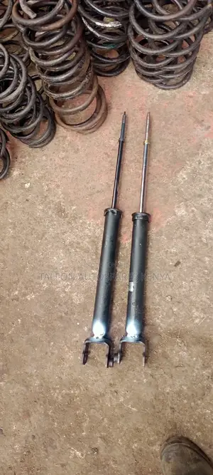 Nissan Fuga Rear Shocks