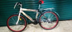 Victory Bike With Carrier