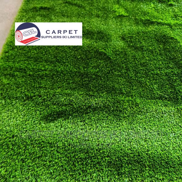 Turf Grass - main view
