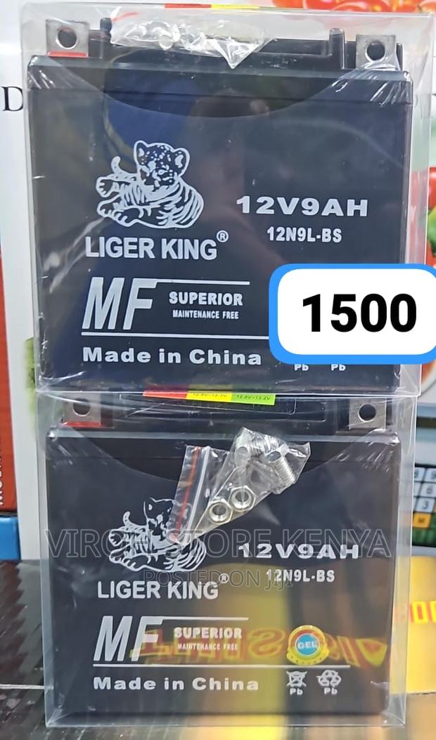 12V 9ah Battery Maintenance Free - main view