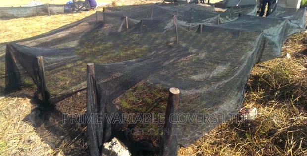 Seedlings Grown Using Shade Net - main view