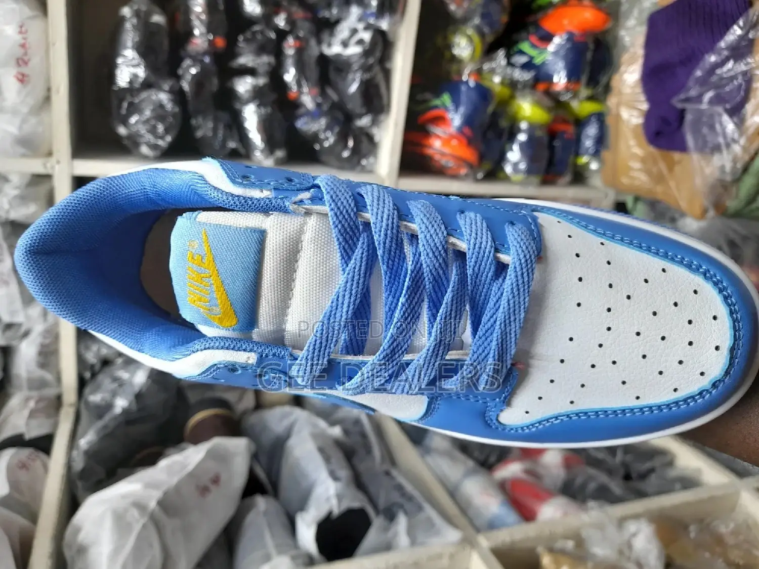 Nike Sb Sneakers