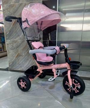 Baby Tricycle With Canopy Available in All Colours - thumbnail 2