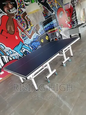 Heavy Duty Commercial Table Tennis