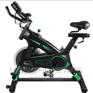 Stationary/Swing Excercise Bike