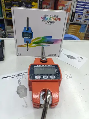300kg Digital Weighing Scale/ Digital Scale