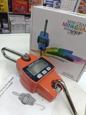 300kg Digital Scale