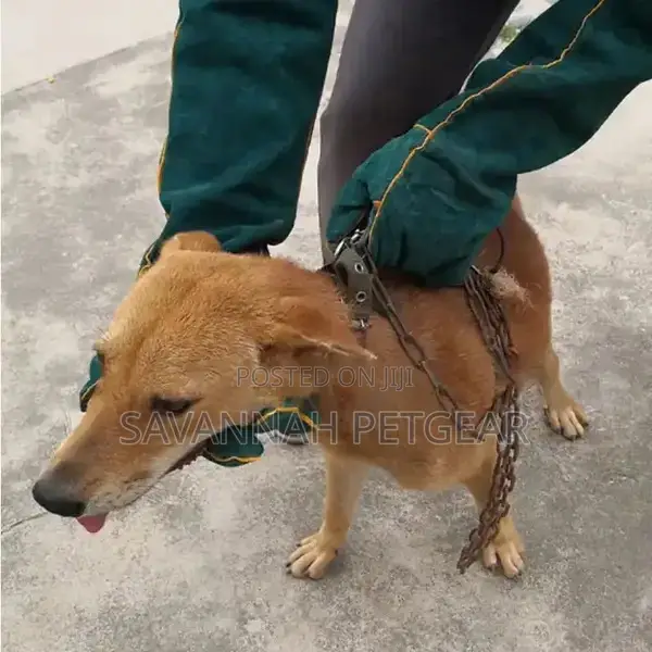 Pet Cat Gloves, Tactical Dog Catchers, Pet Training Gloves