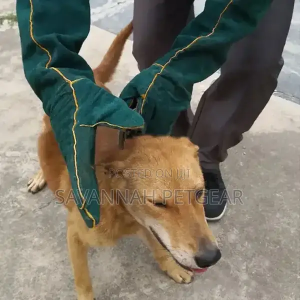 Pet Cat Gloves, Tactical Dog Catchers, Pet Training Gloves