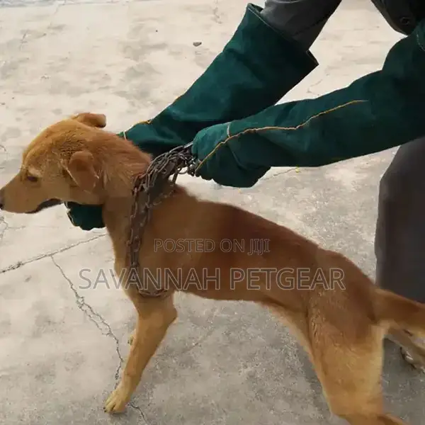 Pet Cat Gloves, Tactical Dog Catchers, Pet Training Gloves