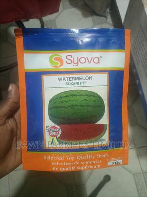 Watermelon Sukari F1 100gms - main view