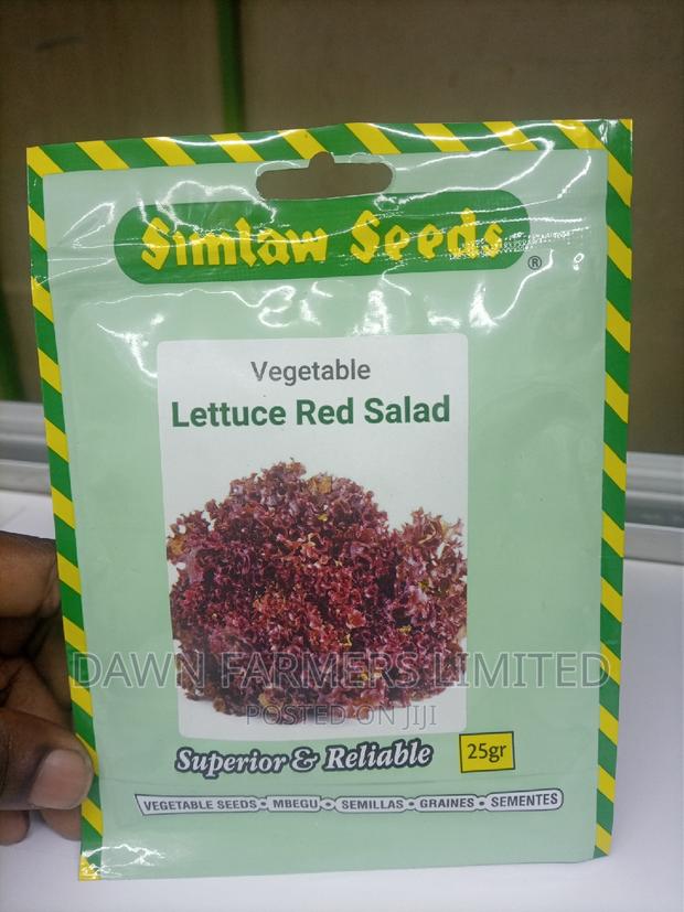 Lettuce Red Salad 25g