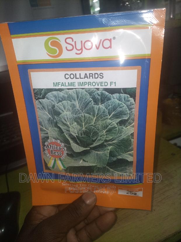 Mfalme F1 Collards Hybrid 25gms