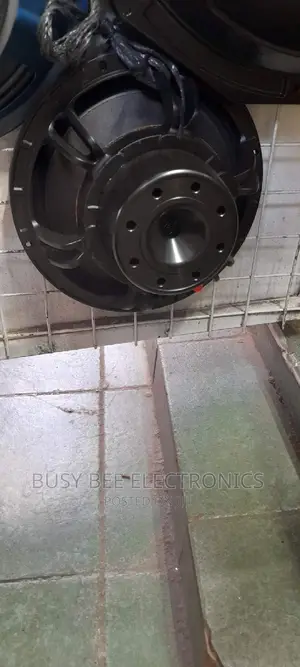 Neodymium 10"Speaker