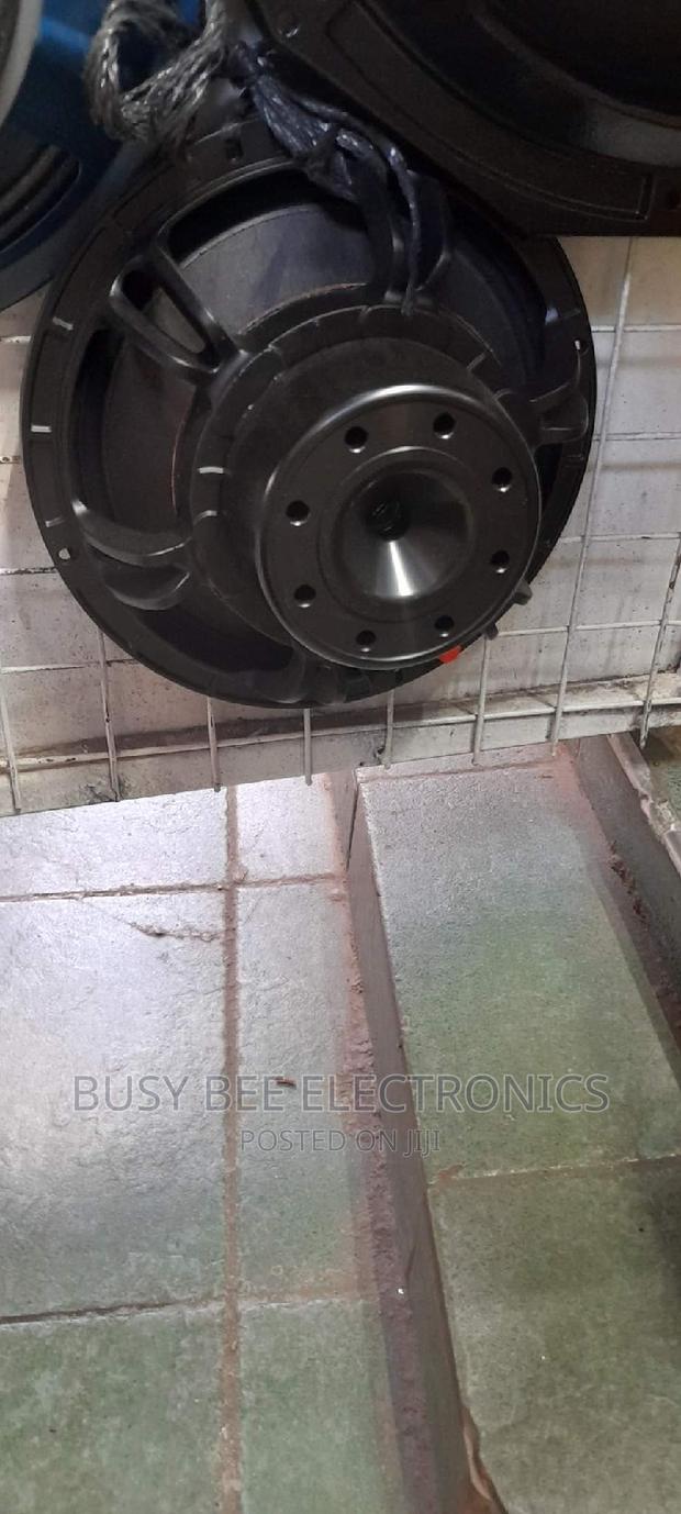 Neodymium 10"Speaker