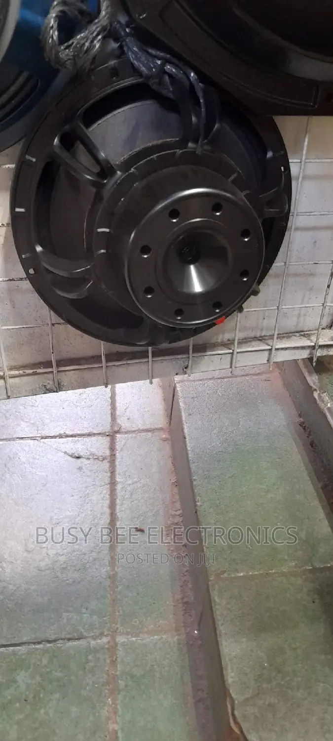 Neodymium 10"Speaker