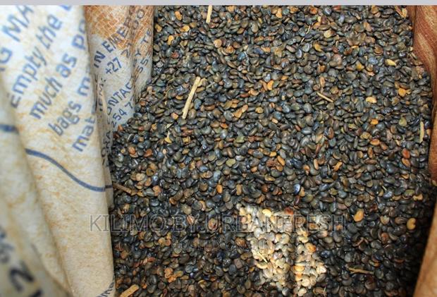 Sunn Hemp Seeds. Moq 5kgs - thumbnail 6