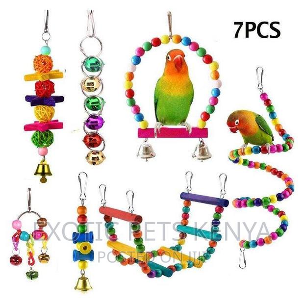 Bird Toy Set/Pack - thumbnail 4