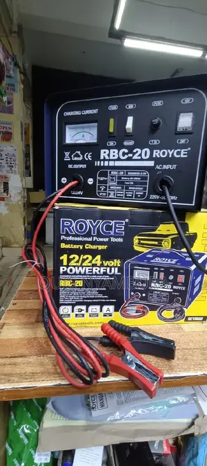 Professional Battery Charger