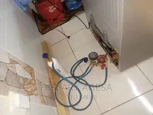 Freezer Leakage Repair