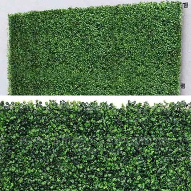 Wall Hedge Wall Hedge 40by 60 Cm Wall Hedge