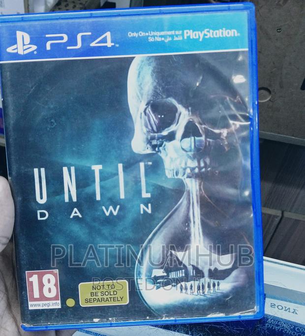 Ps 4 Until Dawn - main view