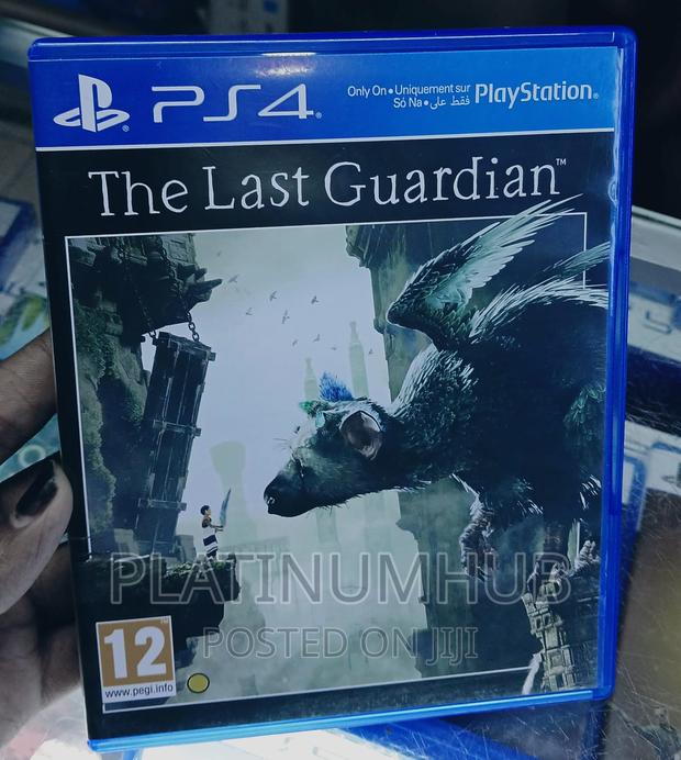Ps 4 the Last Guardian - main view