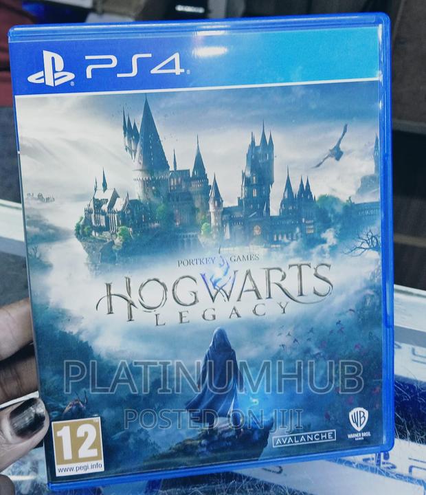 Ps 4 Hogwarts Legacy - main view