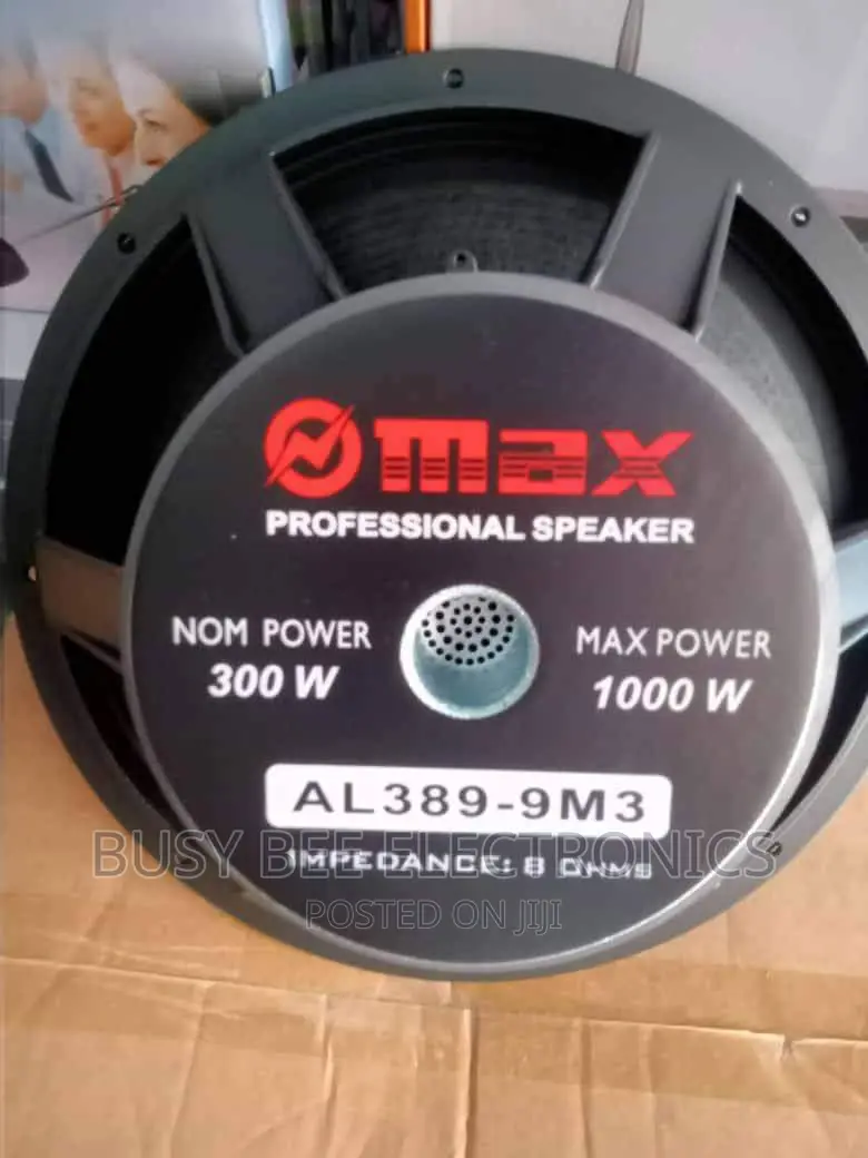 Al 389 Naked Speaker