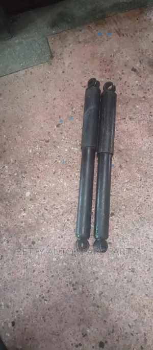Isuzu Trooper Rear Shocks