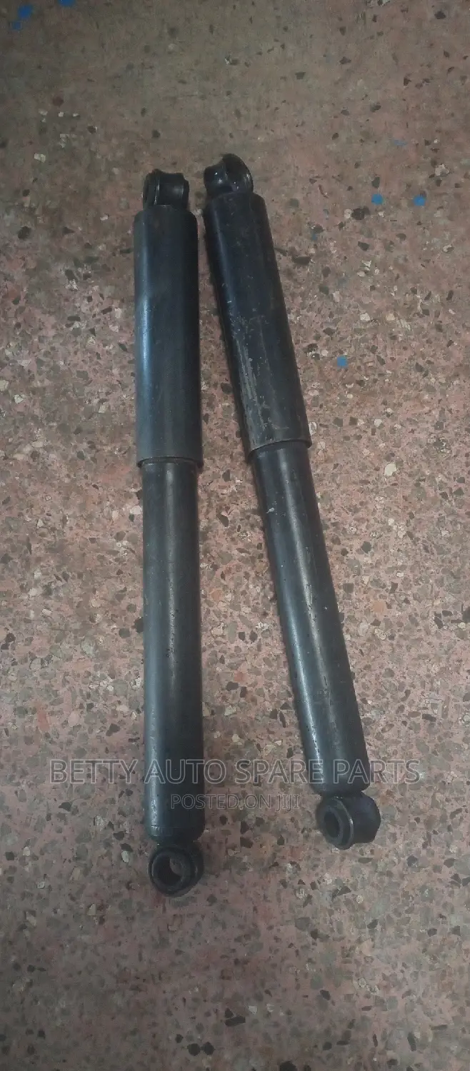 Isuzu Trooper Rear Shocks